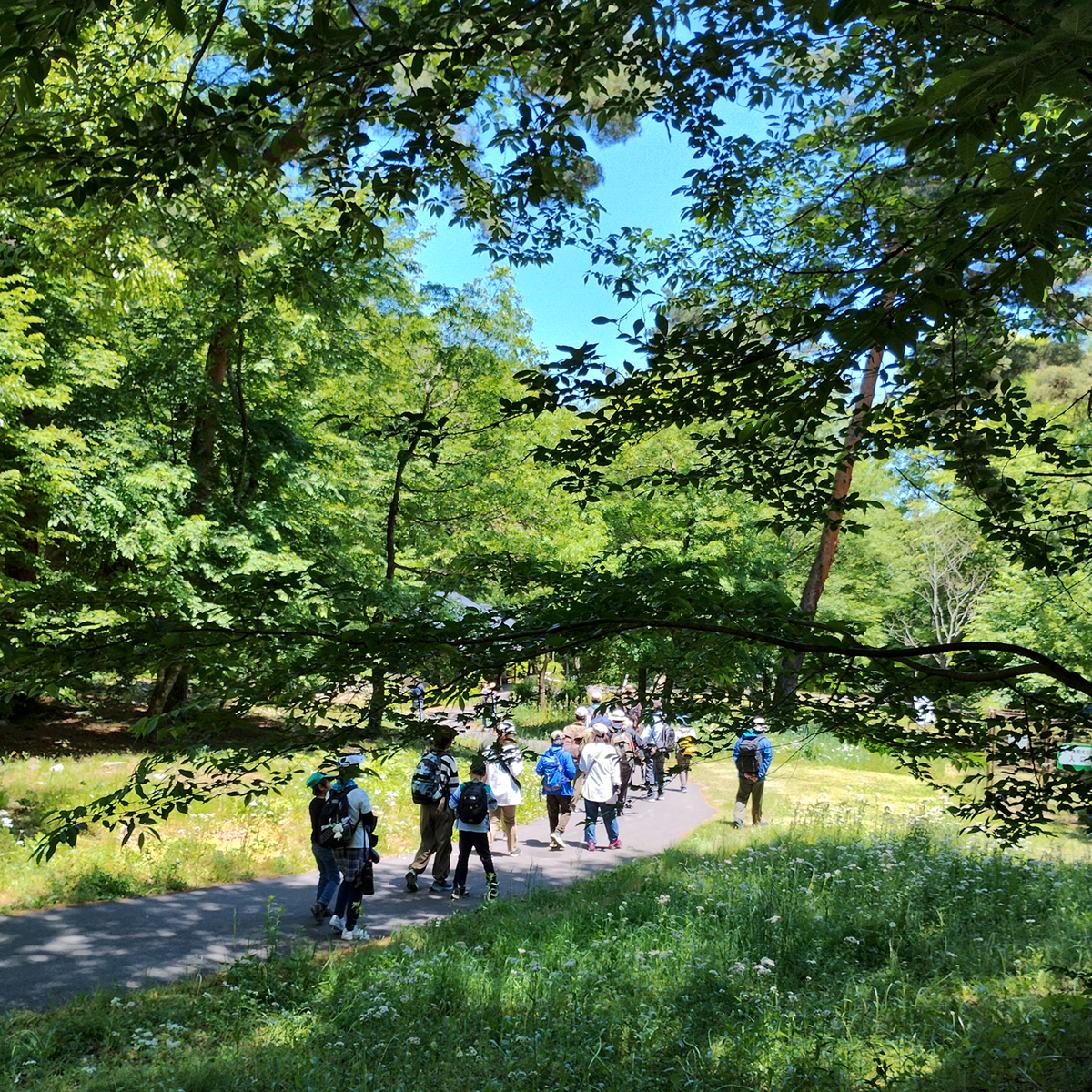 アルプスあづみの公園