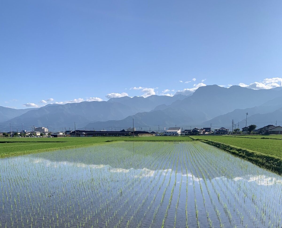 田園風景